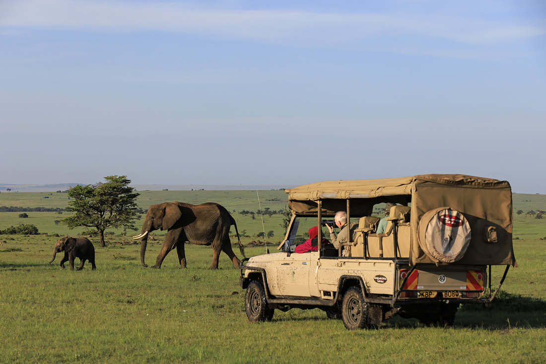 Safari vehicle with elephants, Olare Motorogi Conservancy, Kenya by Bret Charman