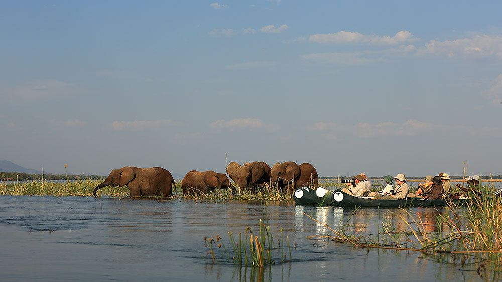Canoe safari on the Zambezi with elephants (Bret Charman) 
